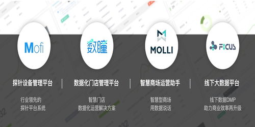 芝麻科技朱智 用線下大數(shù)據(jù)技術(shù)服務(wù)提升商家運(yùn)營(yíng)效率