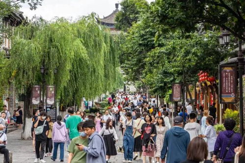 還悶在家里？這些旅游景點都要爆了，旅行社服務網點旅游招攬正當時