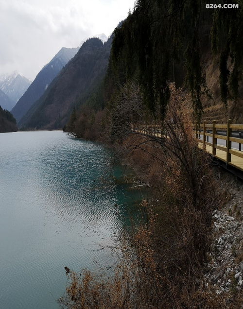九寨溝樹(shù)正溝游覽體驗(yàn)與景區(qū)管理觀察