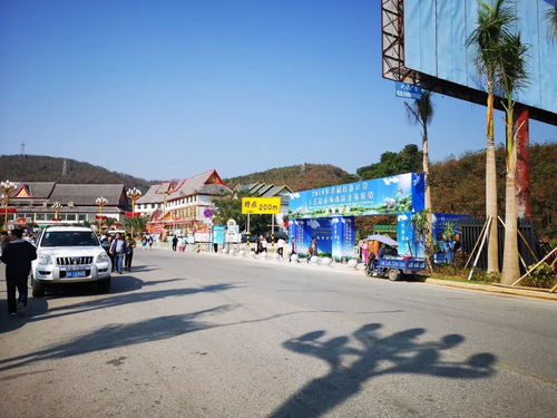 勐?？h市場監督管理局強化2019年首屆打洛口岸工藝品展銷會及旅行社服務監管